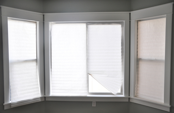 Six-year-old temporary blinds